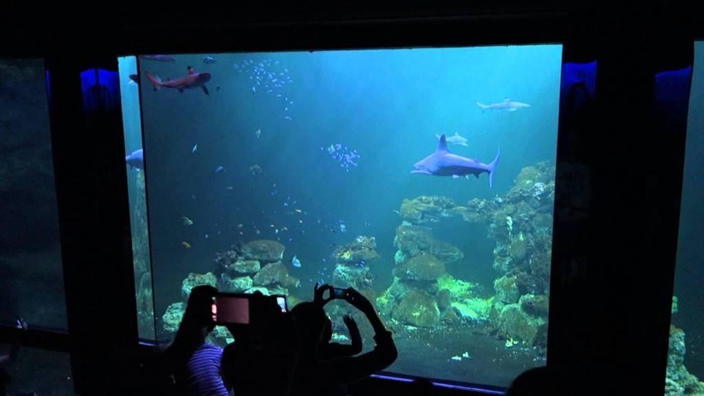 The Butterfly House Haga Ocean NORDIC FREEDOM TOURS®