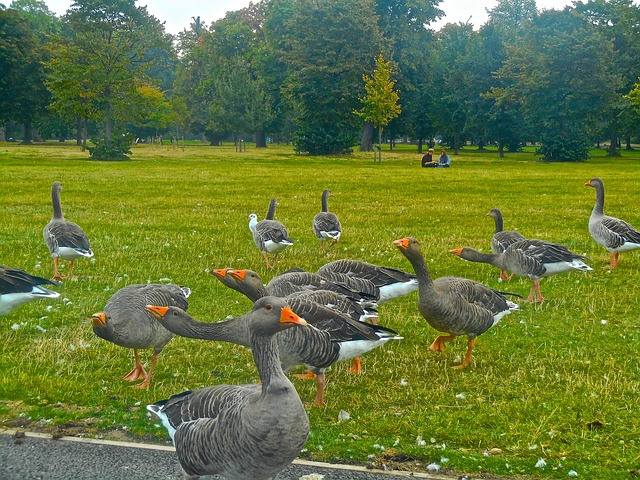 Stockholm walking tour