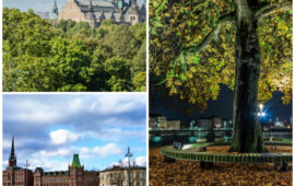 Discover Stockholm, Stockholm Tours