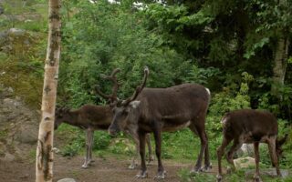 The Top Things To Do in Stockholm
