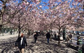 Stockholm is dubbed the Venice from the North