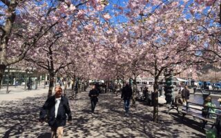 Stockholm is dubbed the Venice from the North
